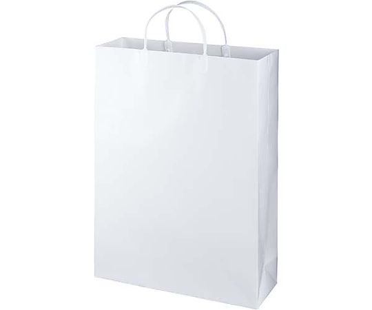 Large Laminated Bag, White, 10 pieces, LBL-WH, 1 pack (10 pieces)