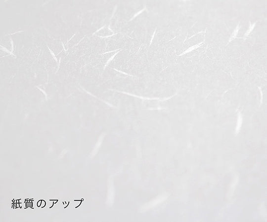 厚口　大直礼状紙　A4　100枚入　205003004 1パック(100枚入)