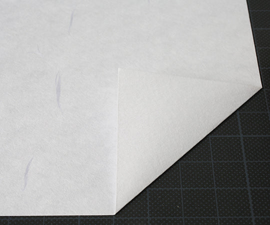 大礼紙　白　A4　50枚入　206040401 1パック(50枚入)