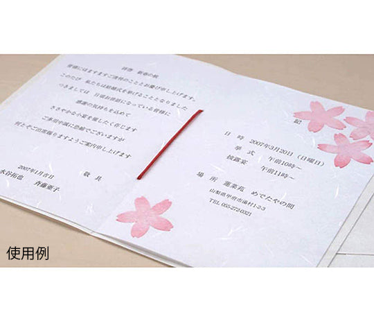 大礼紙　白　A4　50枚入　206040401 1パック(50枚入)