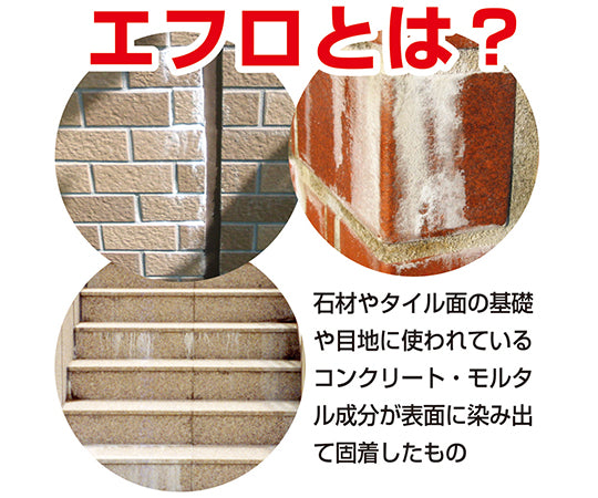 復活洗浄剤　エフロ用　100mL　17660062100 1個