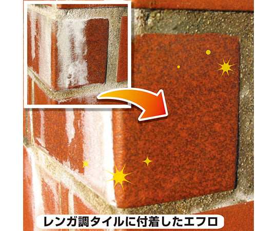 復活洗浄剤　エフロ用　100mL　17660062100 1個