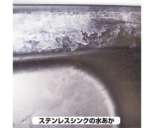 Revival Cleaning Agent Stainless Steel Sink Cleaner 100mL 17660142100 1pc