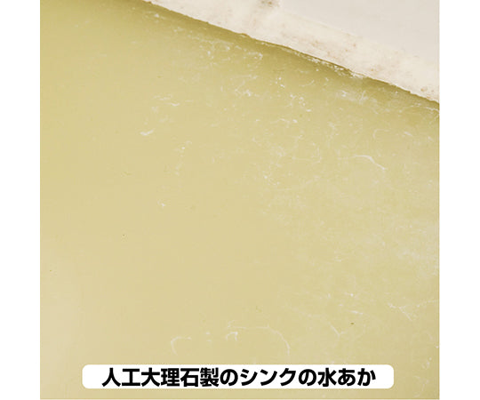 Revival Cleaning Agent Stainless Steel Sink Cleaner 100mL 17660142100 1pc