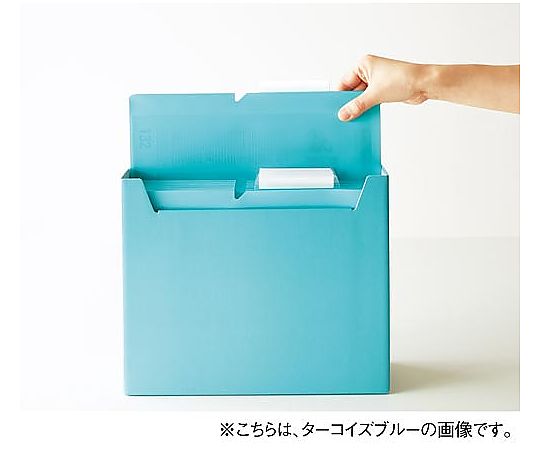 개별 폴더 <neos>A4 15mm 블랙 A4P-NEF15D 1장</neos>