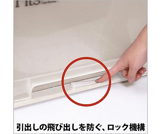 フィッツケース（奥行53cm）ワイドL-53　4904746297983 1個