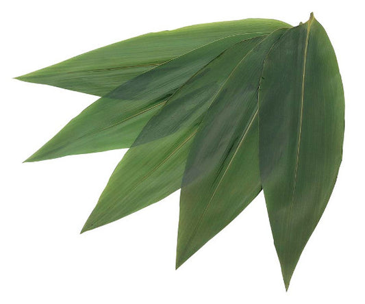 Natural bamboo leaves (100 sheets) 5120 7S 5282010 1 set (100 sheets)