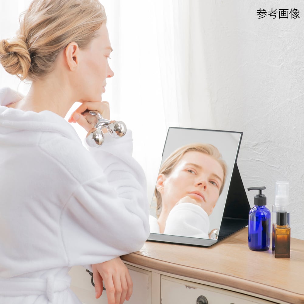 プロモデル折立ミラー　LL　HP-24 1個