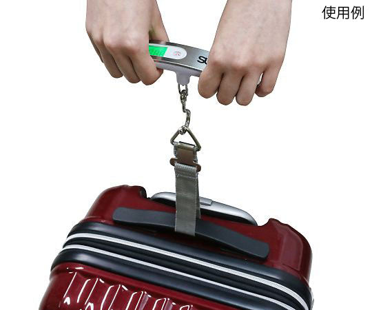 SUNDRY Hanging Digital Scale 86197 1pc