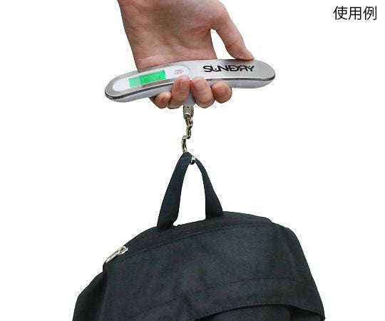 SUNDRY Hanging Digital Scale 86197 1pc