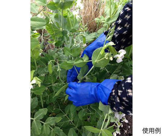 블루 피트 M 181-M 1쌍