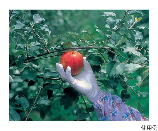 딱 맞는 배후 M 260-M 1쌍