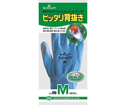 딱 맞는 배후 M 260-M 1쌍