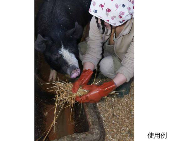 뉴비닐 로브 L 610-L 1쌍