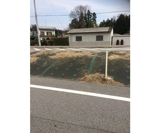 Weed control sheet fixing tape green 100 x 20 930GR 1 roll