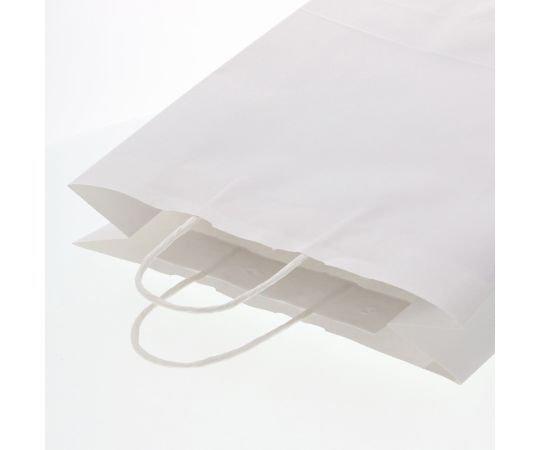 수제 종이 봉투 25 매력 가방 2 세 표백 무지 50 장 003235801 1 팩 (50 장 입)