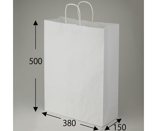 Paper Bags for Carrying 25 Charm Bags, Custom Size, Bleached White Plain, 50 Bags, 003280411, 1 Pack (50 Bags)