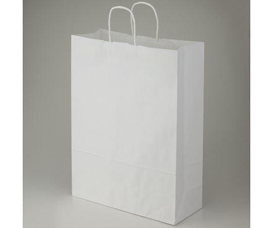 Paper Bags for Carrying 25 Charm Bags, Custom Size, Bleached White Plain, 50 Bags, 003280411, 1 Pack (50 Bags)