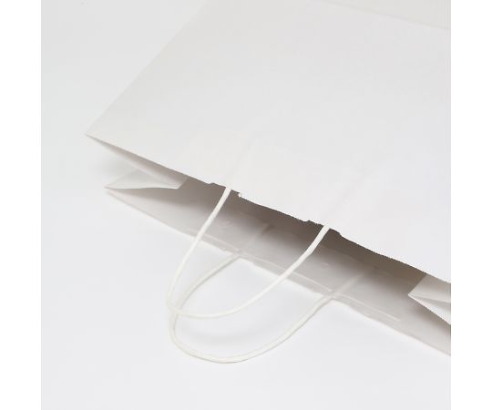 Paper bag for carrying 25 Charm Bag 45-1 Bleached white plain 50 pieces 003297001 1 pack (50 pieces)