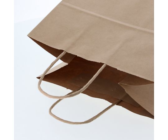 수제 종이 봉투 25 매력 가방 26-18 미표지 무지 50 매 003267102 1 팩 (50 매 입)