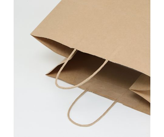 手提げ紙袋　25チャームバッグ　38-4　未晒無地　50枚　003291001 1パック(50枚入)