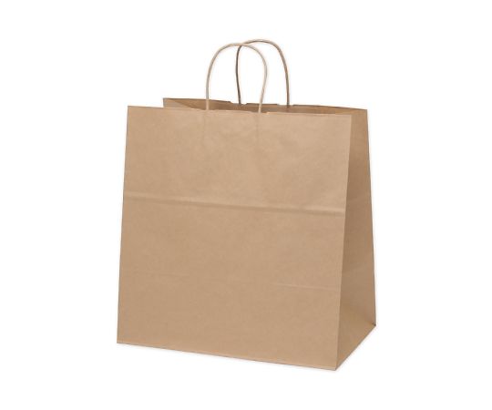 手提げ紙袋　25チャームバッグ　38-4　未晒無地　50枚　003291001 1パック(50枚入)