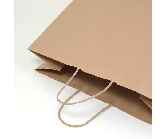 手提げ紙袋　25チャームバッグ　45-1　未晒無地　50枚　003296000 1パック(50枚入)