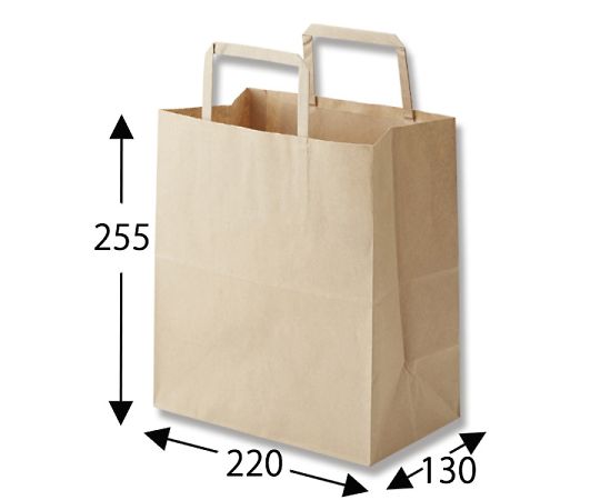Paper Bags for Carrying 25 Charm Bags, Flat, S2, Unbleached, Plain, 50 Bags, 003263601, 1 Pack (50 Bags)