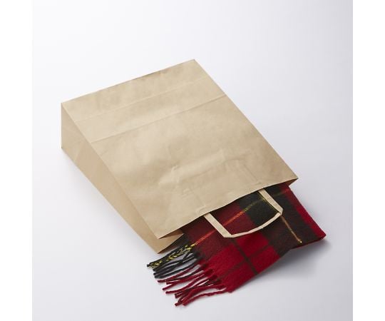 手提げ紙袋　25チャームバッグ　平手　26-4　未晒無地　50枚　003267401 1パック(50枚入)