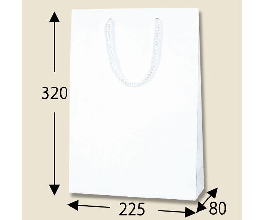 Paper Bag K Bag SWT White Embossed 10 Bags 006145402 1 Pack (10 Bags)