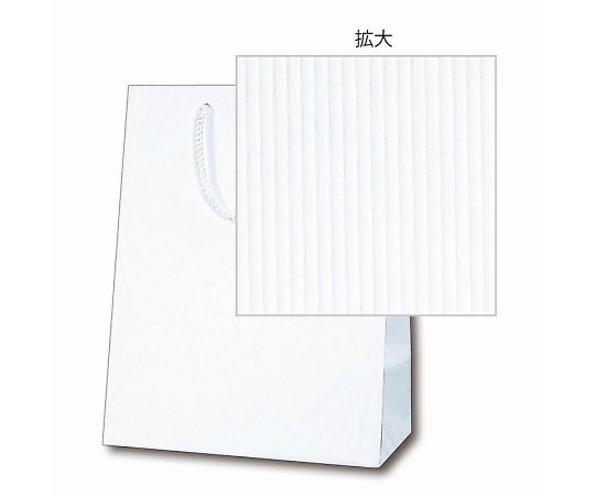 Paper Bag K Bag SWT White Embossed 10 Bags 006145402 1 Pack (10 Bags)