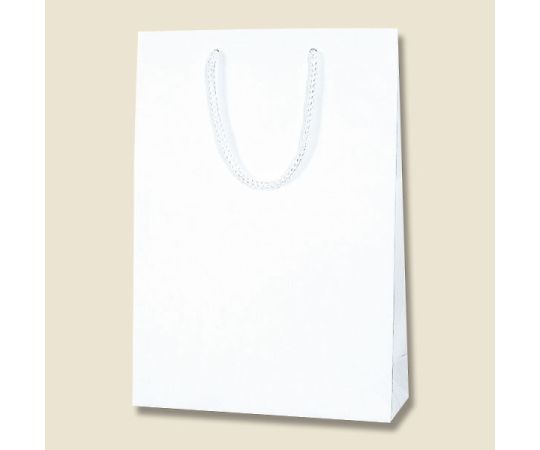 Paper Bag K Bag SWT White Embossed 10 Bags 006145402 1 Pack (10 Bags)