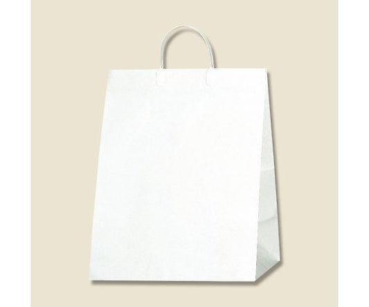 手提げ紙袋　ワイドバッグ　M　ホワイト　10枚　006460801 1パック(10枚入)