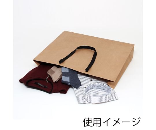 手提げ紙袋　ファッションバッグ　L　未晒無地　10枚　006470610 1パック(10枚入)