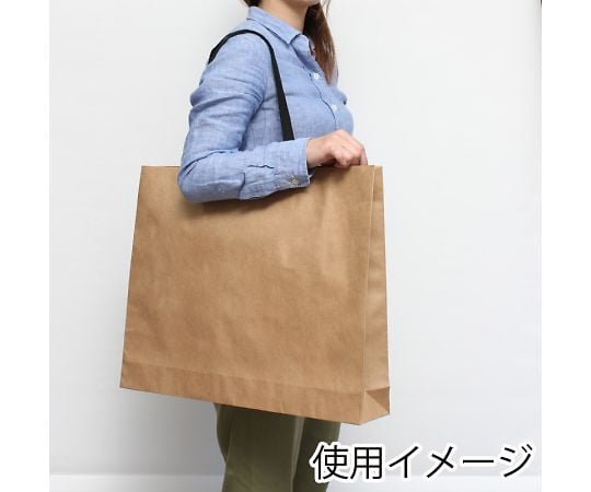 手提げ紙袋　ファッションバッグ　L　未晒無地　10枚　006470610 1パック(10枚入)