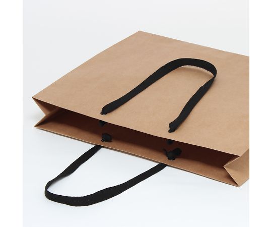 手提げ紙袋　ファッションバッグ　L　未晒無地　10枚　006470610 1パック(10枚入)