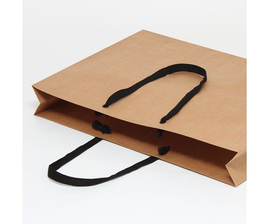 수제 종이 가방 패션 가방 LL 미발 무지 10 장 006470510 1 팩 (10 장 입)