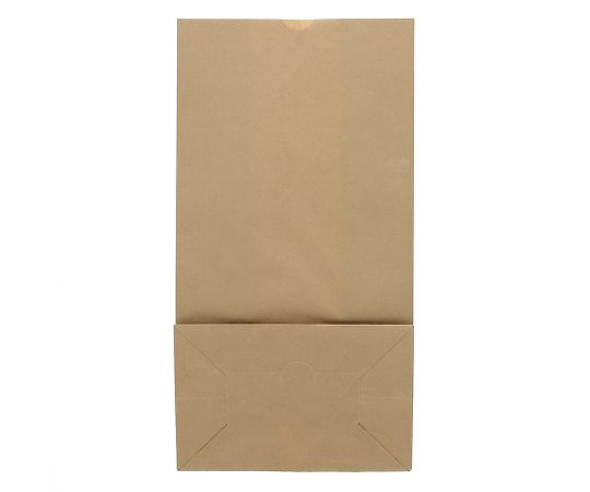 角底袋　No.20　未晒無地　100枚　004012000 1パック(100枚入)