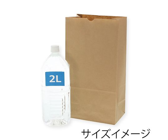 角底袋　No.20　未晒無地　100枚　004012000 1パック(100枚入)