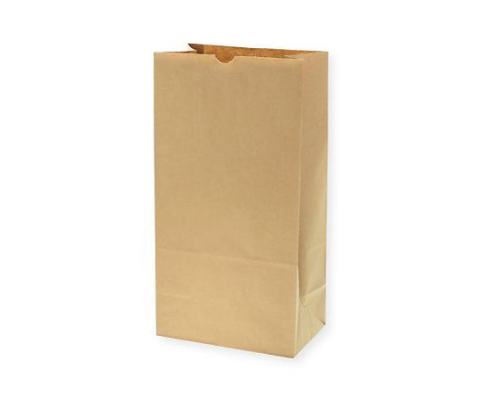 角底袋　No.20　未晒無地　100枚　004012000 1パック(100枚入)