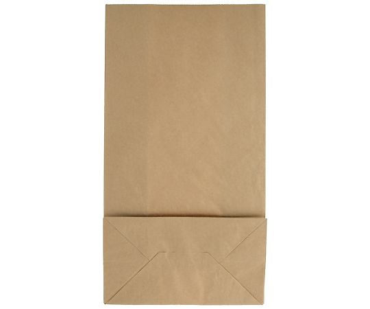 角底袋　LL　未晒無地　100枚　004012600 1パック(100枚入)