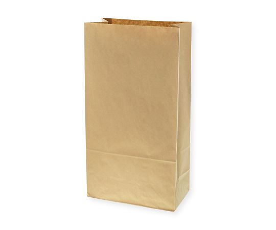 角底袋　LL　未晒無地　100枚　004012600 1パック(100枚入)