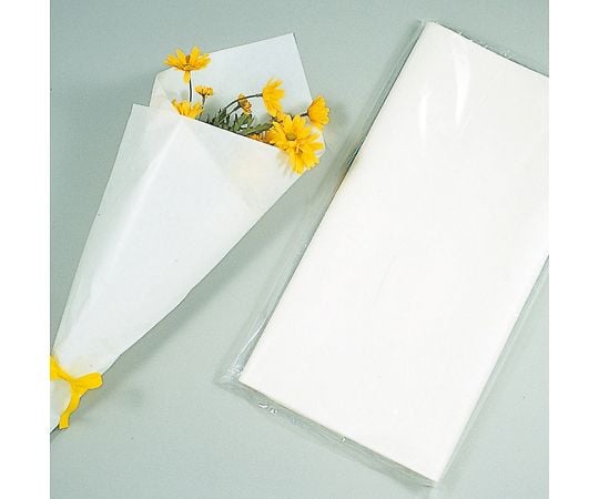 純白紙　四六判　<28>　半才　200枚　002100100 1パック(200枚入)