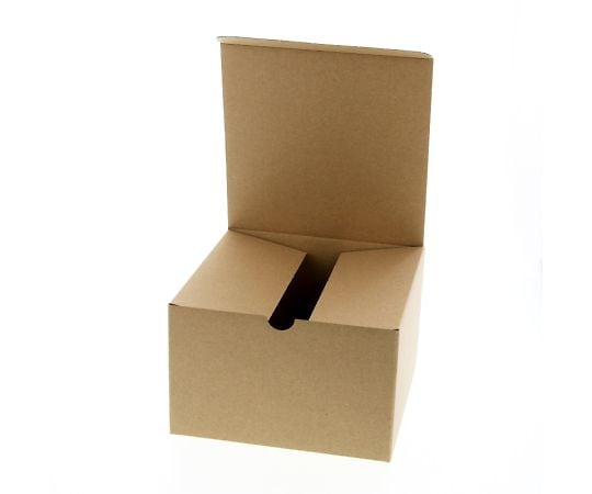 Natural Box Z-2 Plain 10 pieces 006200210 1 pack (10 pieces)