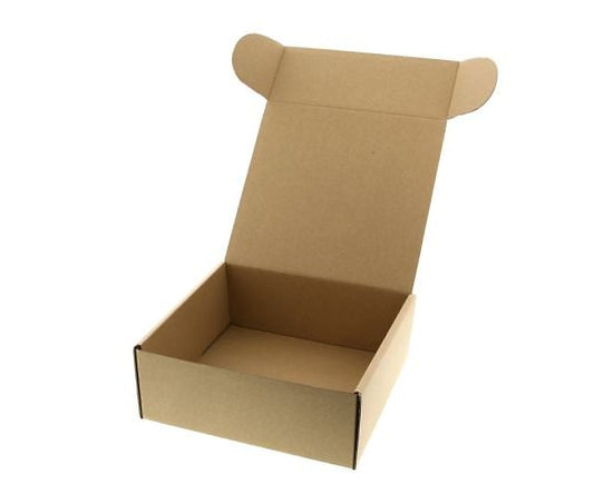 ナチュラルボックス　Z-4　無地　10枚　006200410 1パック(10枚入)