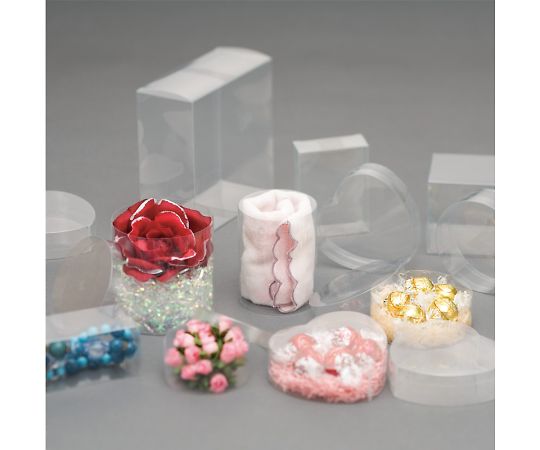 PVC　クリスタルボックス　C-10　無地　5個　006828100 1パック(5個入)