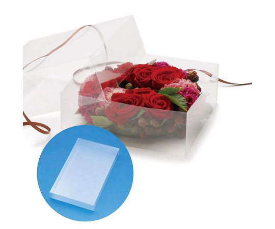 PVC　クリスタルボックス　C-10　無地　5個　006828100 1パック(5個入)