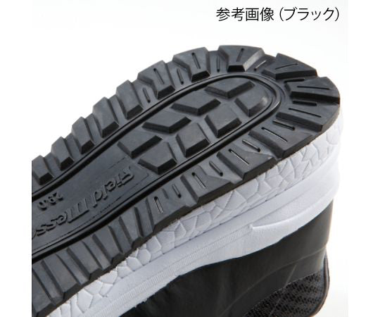 S Shoes Lace Navy 29.0cm S2161 1 pair