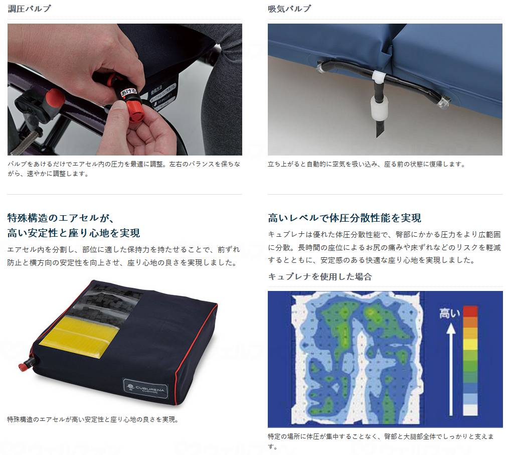 Cape Cubena Cushion Navy