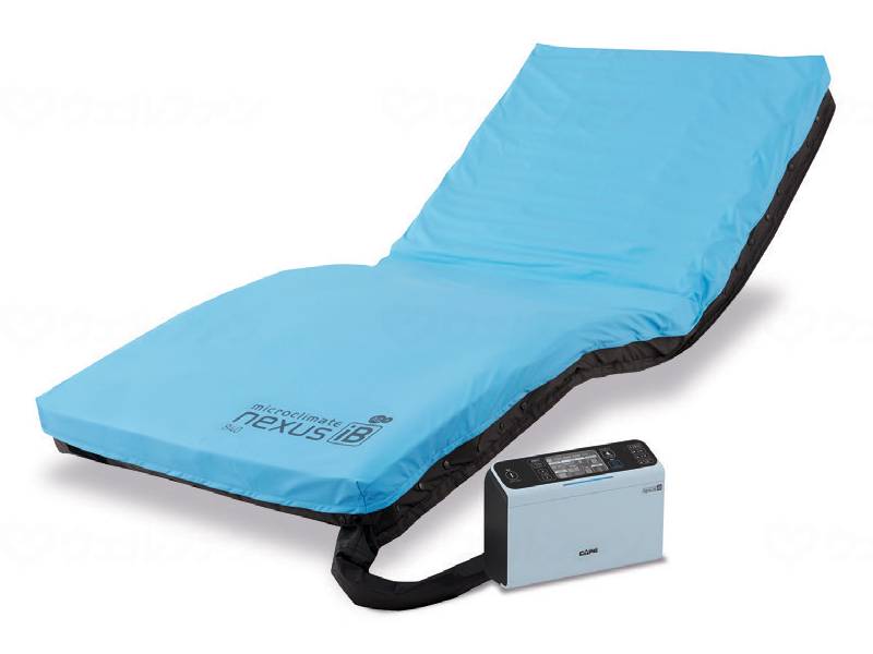 Cape Microclimate Nexus Ivy Set 900/SHORT